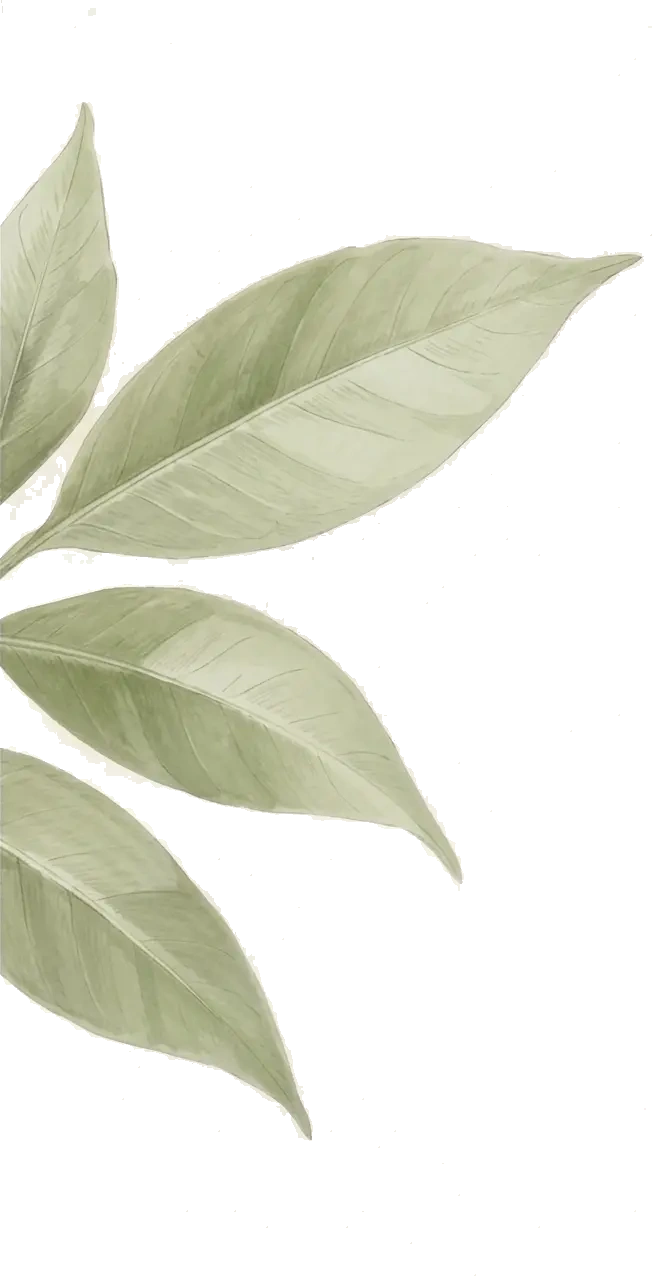 Botanical Leaf