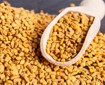 fenugreek