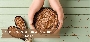 Can Flax Seeds Help With Weight Loss?