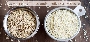  Comparison of Hulled and Unhulled Sesame Seeds