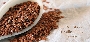  Nutritional Profile of Flax Seeds