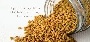 Storing and Using Fenugreek