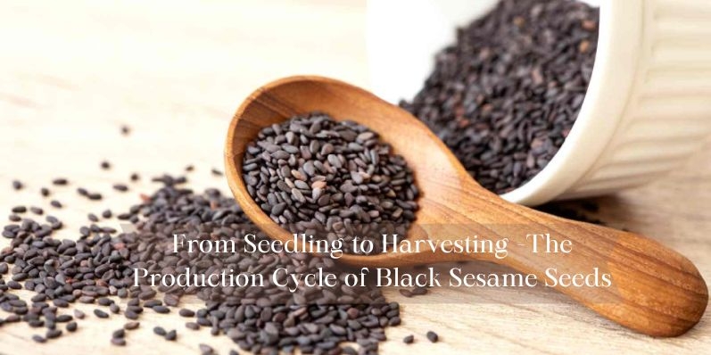 black sesame seeds