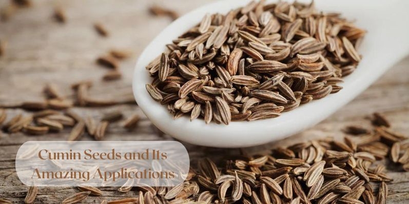 Cumin Seeds and its Amazing Applications