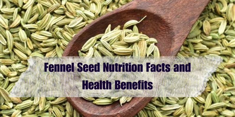 Fennel Seed Nutrition Facts and Health Benefits