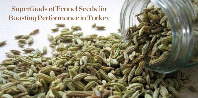 Fennel Seeds for Boosting Performance in Turkey