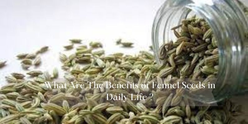 Fennel Seeds