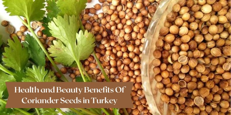 Health and Beauty Benefits Of Coriander Seeds in Turkey