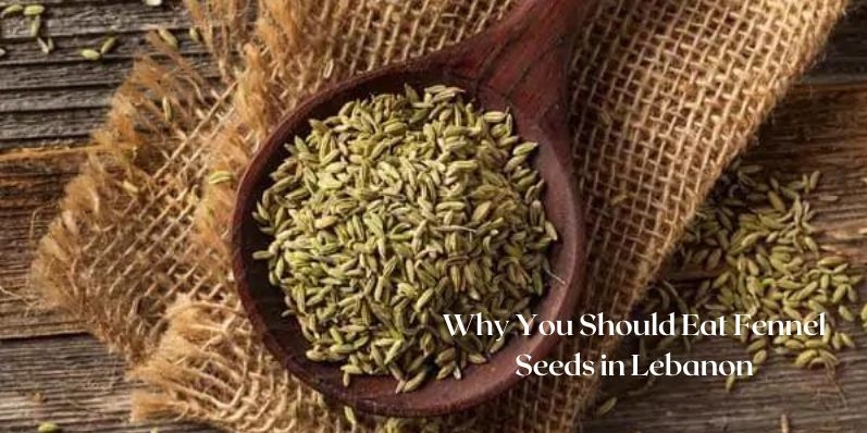 Why You Should Eat Fennel Seeds in Lebanon